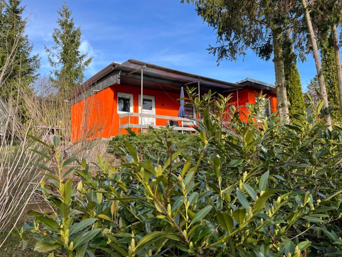Ferienhaus Zeulenrodaer Meer Exteriér fotografie